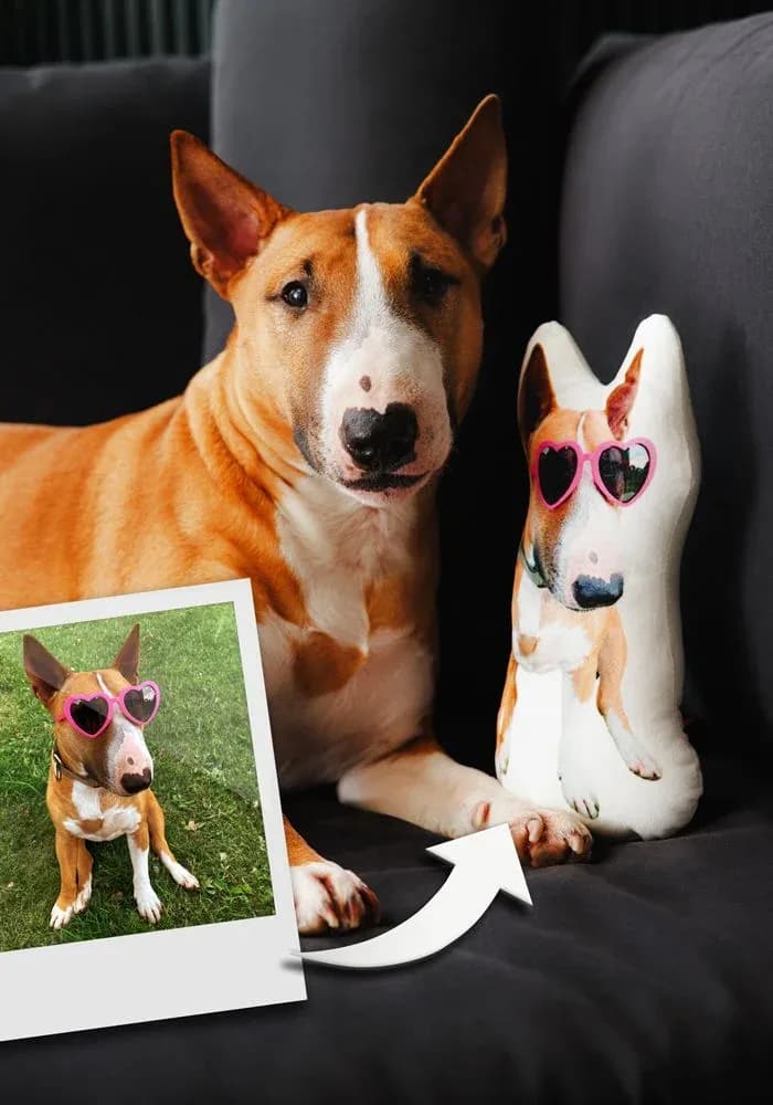 Custom Shaped Pet Cutout Photo Pillow